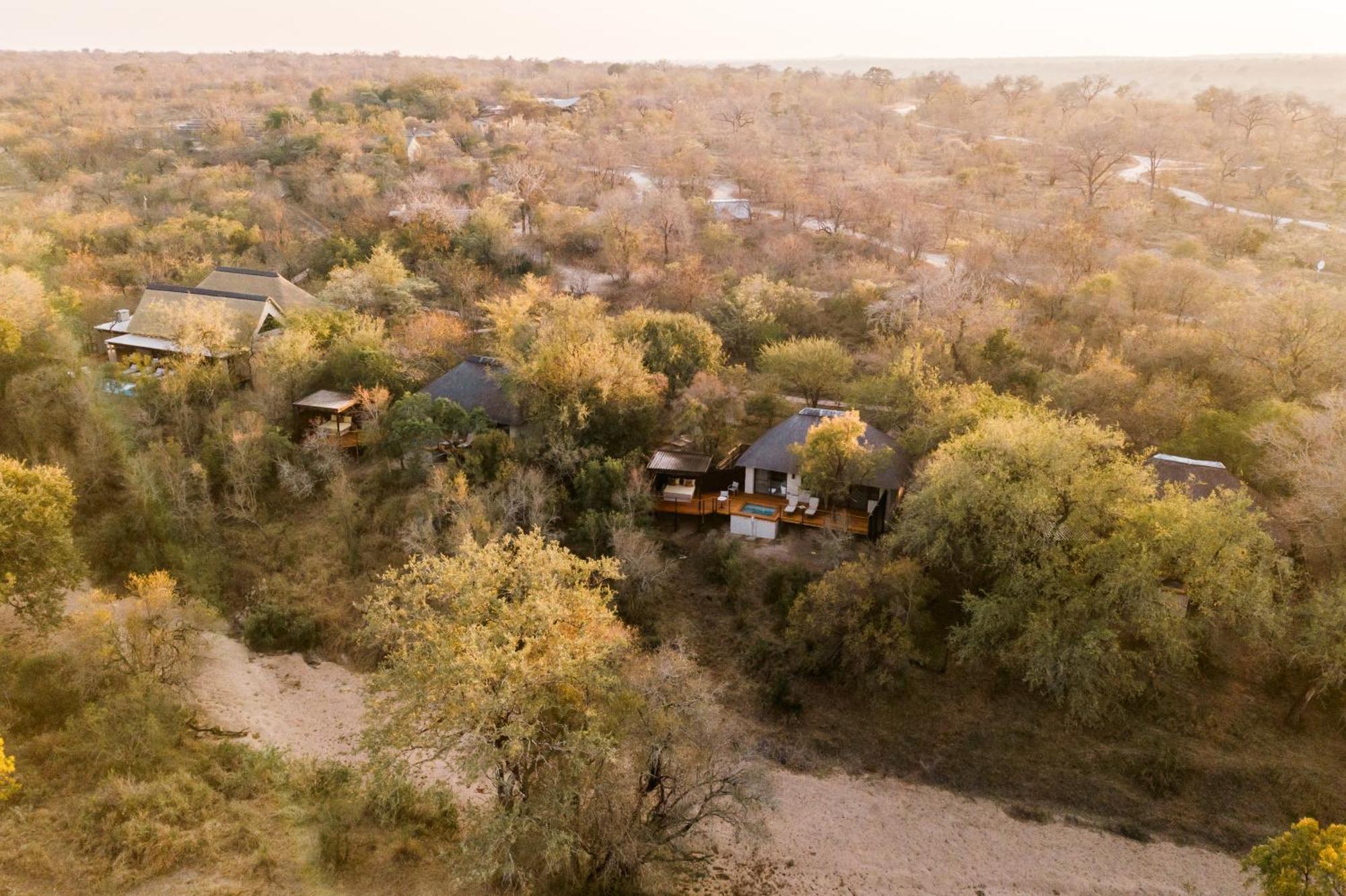 Thornybush Simbambili Lodge Sabi Sand Game Reserve Exterior foto